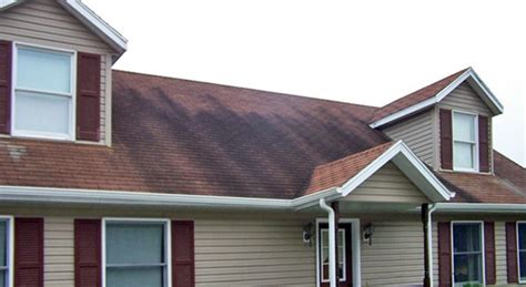 If a positive diagnosis of dermatofibroma can be confidently made, i wouldn't worry. Q&A: How Do You Remove Black Streaks on the Roof? | Mosby ...