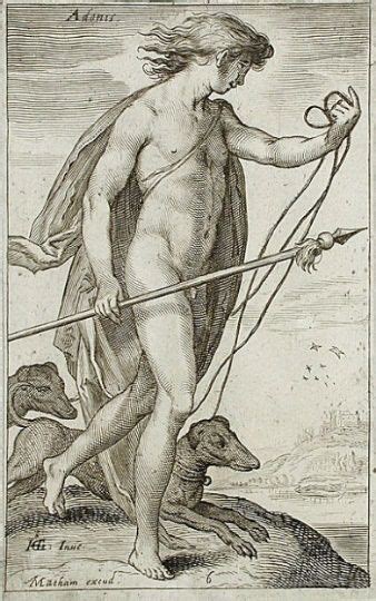 Adonis Yunan Mitolojisi Yunan mitolojisi Mitoloji Yunan tanrıları