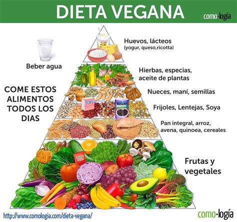 Pirámide Nutricional Vegana Benefits Of Vegetarian Diet Cooking
