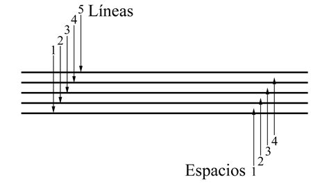 TeorÍa 1 Pentagrama Y Notas