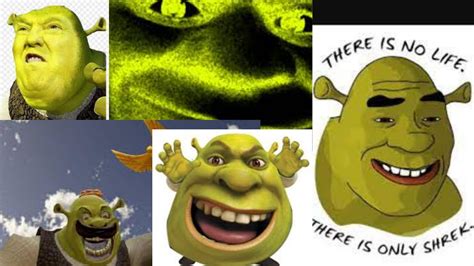 Desktop Wallpaper Bc Shrek Is Love Shrek Is Life Shrek Wallpaper Life