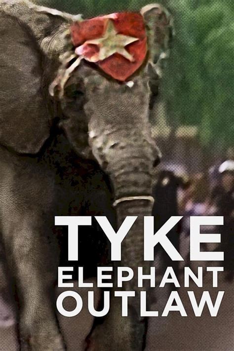 Tyke Elephant Outlaw Serie