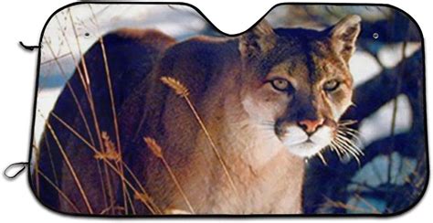 Amazon Com Rfhip Wild Cougar In Snow Wildlife Mountain Lion Folding Front Window Awning
