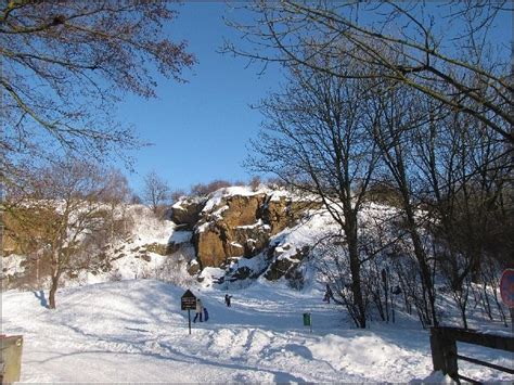 Check spelling or type a new query. Kouřim - Živéobce.cz