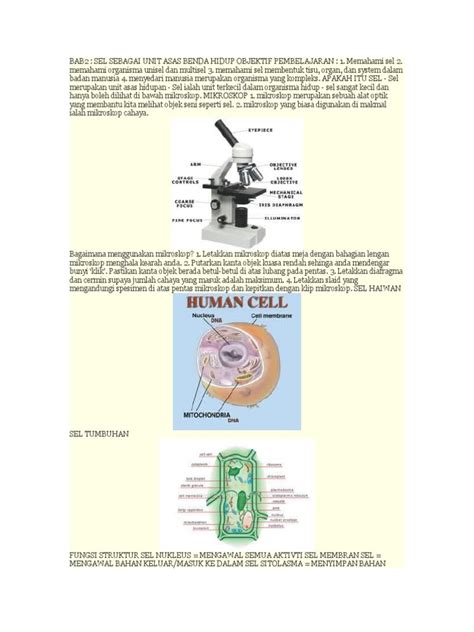 Organ deria manakah yang boleh mengesan bahan kimia dalam udara? Nota Sains Tingkatan 1