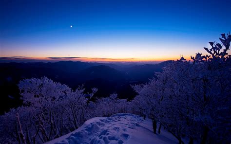 Snow Trees Sunset Nature Landscape Winter Wallpapers