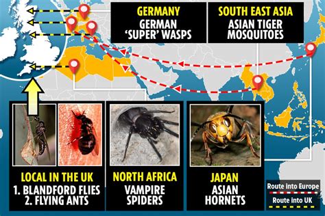 The Dangerous Insects That Could Plague Lockdown Trips From Giant