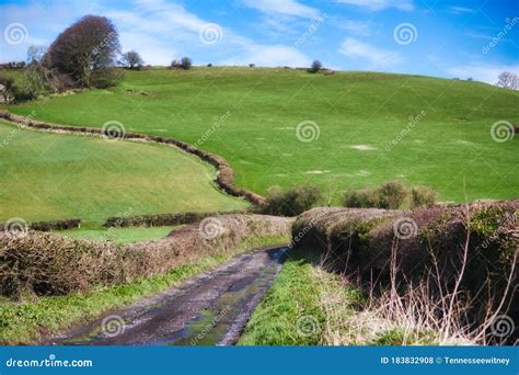 Scenic Rolling Hills In The English Countryside With Lush Green Grass