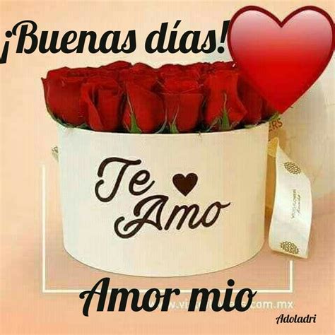 A Red Rose In A White Box With The Words Te Amo And An Image Of A Heart