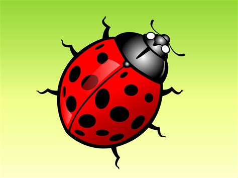 Lady Bug Cartoon Vector Art And Graphics