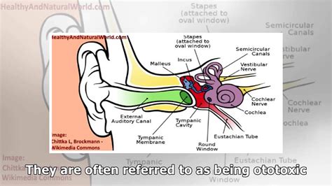 Crackling Sound In Ear Common Causes And Remedies To Get Rid Of Noise