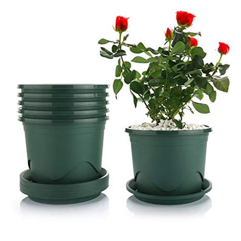 When placing a cactus block on top of a sand block, it will grow up to 3 additional blocks on top over time. Top 10 Half Gallon Pots - Planter Nursery Pots - LowerOver