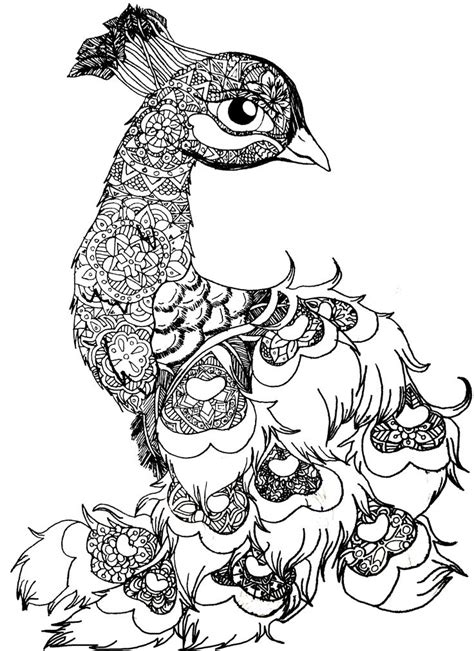 Download B&W Peacala, peacock,animal,bird,drawing,blackandwhite,mandala,nsvtwork | nsvtwork | Pinterest ...