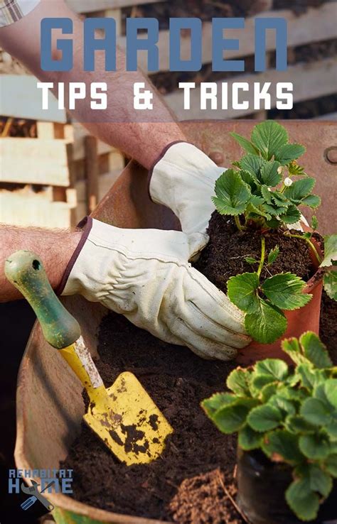 Garden Tips And Tricks Gardening Tips Gardening For Kids Healthy Garden