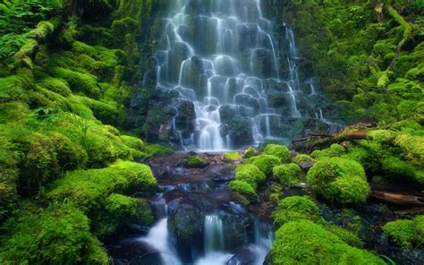 Cascade Waterfall Sensoria Rain Forest Costa Rica Mexico