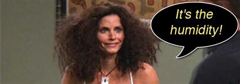 An Episode Of Friends Is Your Hair Ever Like Monicas Maison Dargan