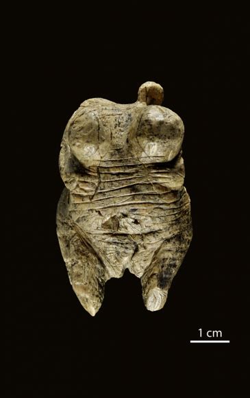 Venus von schelklingen) is an upper paleolithic figurine of a woman hewn from the ivory of a mammoth tusk that was located near schelklingen, germany. The Oldest Portable Art: the Aurignacian Ivory Figurines ...