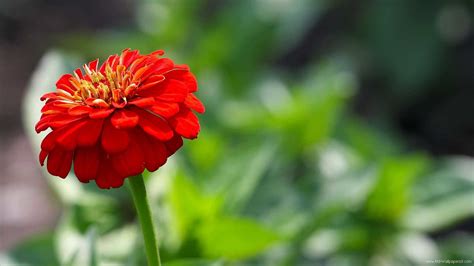 Maybe you would like to learn more about one of these? Nice Pictures for Desktop Background (73+ images)