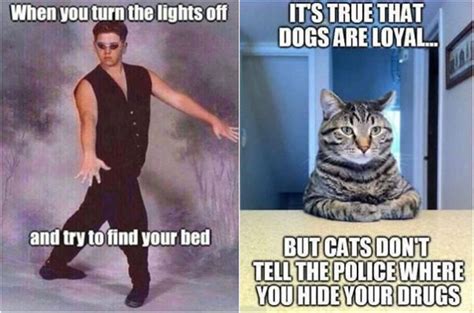 21 Extremely Funny Memes You Will Laugh Out Loud Fancy Ideas About