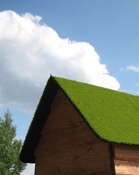 Get started in a few clicks. Veranda Haus Natur mit Grasdach, Spielhäuser ...