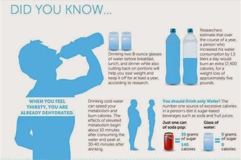 The payment model for extras is very simplistic and standard. Does drinking water make you lose weight - Ideal figure