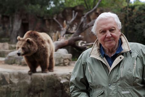 David Attenboroughs Natural Curiosities Bbc Earth