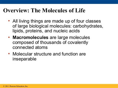 05 The Structure And Function Of Large Biological Molecules