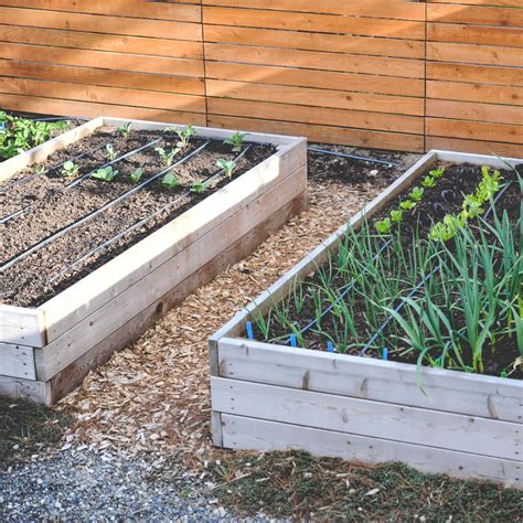 A drip irrigation system keeps roots moist, but not soaked, all while using less water than other irrigation techniques. Why Drip Irrigation? — Seattle Urban Farm Company