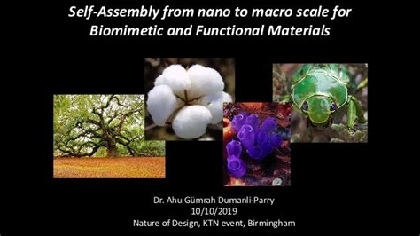 The Nature Of Design Self Assembly From Nano To Macro Scale For Biom