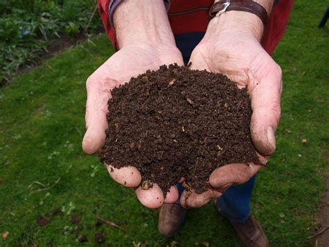 Sand can be too fine for the potting soil and not allow for sufficient drainage. Choosing the right potting mix for container garden - My ...
