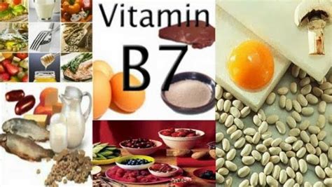 Apr 02, 2018 · vitamin b complex is a product that's composed of eight b vitamins: List of foods high in vitamin B complex you should know