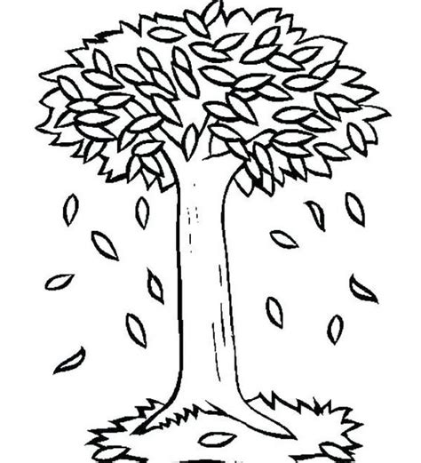 Best Fall Tree Coloring Pages For Children