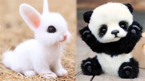 10 Cutest Baby Animals In The World Hindi Urdu Youtube
