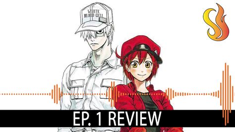 Cells At Work Episode 1 Review Youtube