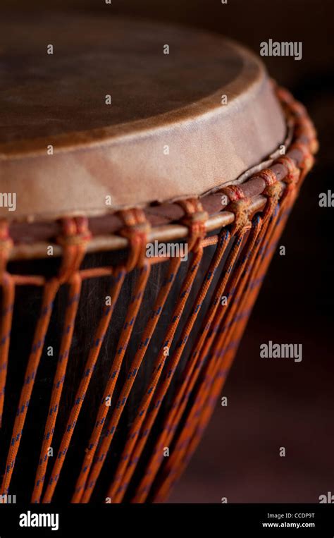 Close Up Of The Djembe Head Stock Photo Alamy