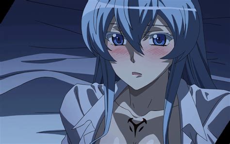 Safebooru 1girl Akame Ga Kill Blue Eyes Blue Hair Blush Colored