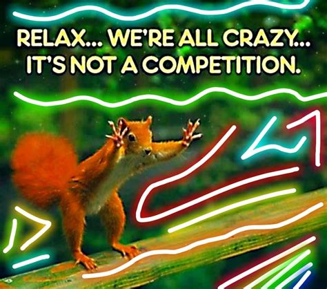 Relaxwere All Crazyits Not A Competition Pictures Photos And