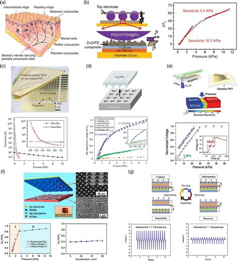 Biological And Electronic Tactile Sensors A Anatomy Of Human Skin And