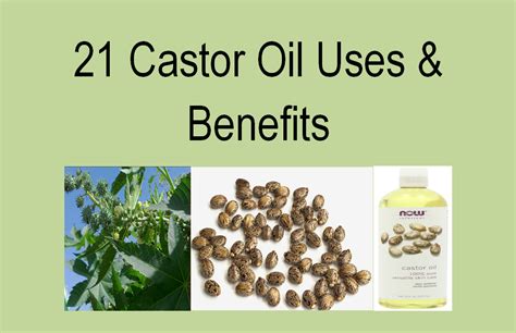 Castor Oil Uses And Benefits Oil Uses Natural Health Care Natural Cures
