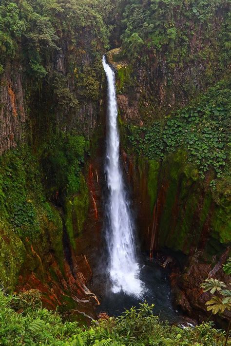 Catarata Del Toro Waterfall Costa Rica Explored