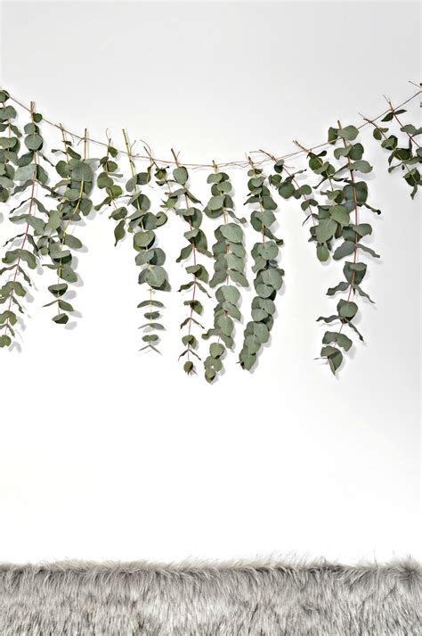 A Quick And Easy Diy Eucalyptus Garland Diy Home Decor Your Diy