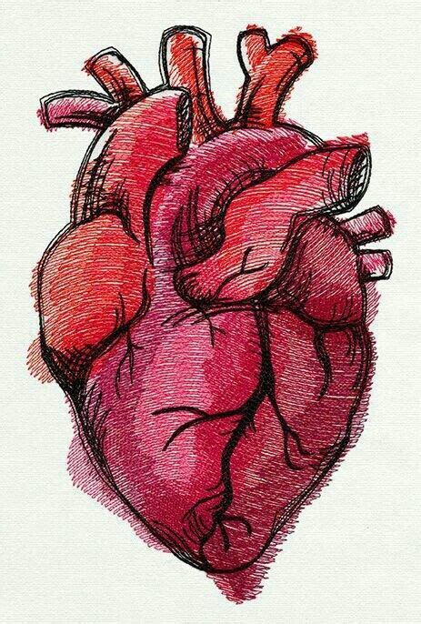 We did not find results for: 17 Best images about drawing ideas on Pinterest | Negative ...