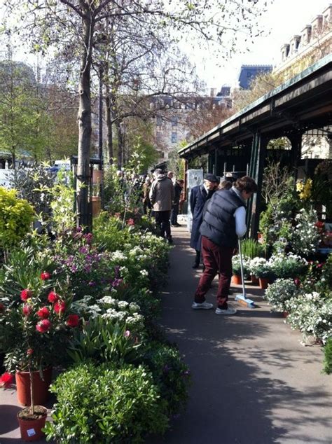 Our innovative technology includes the polygon™ search tool that allows users to define their own search areas on a map and a plan commute feature that helps users search for rentals in proximity to. The flower markets at Notre Dame | Street view, Flower ...
