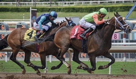 We did not find results for: The thrill of the race - betting on live horse racing in ...