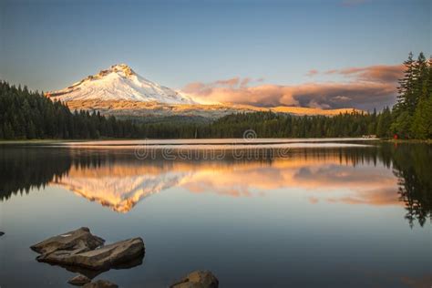 Mount Hood Reflecting In Trillium Lake At Sunset National Forest Stock