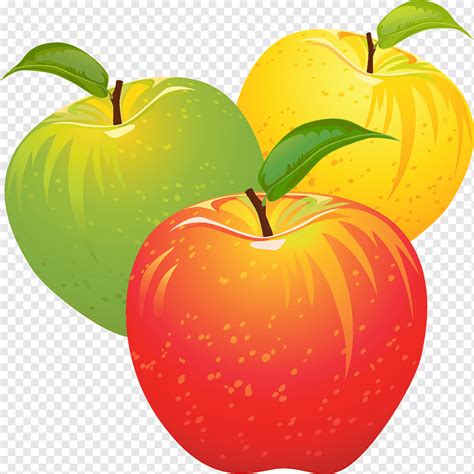 gambar buah apel cartoon koleksi gambar hd