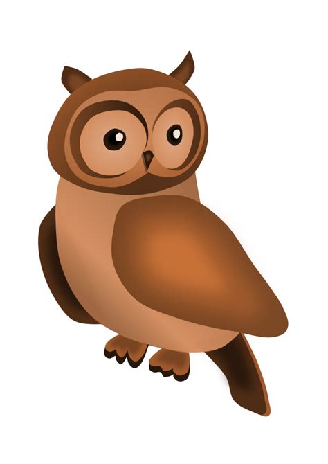 Cartoon Owl Clipart Free Download Transparent Png Clipart Library