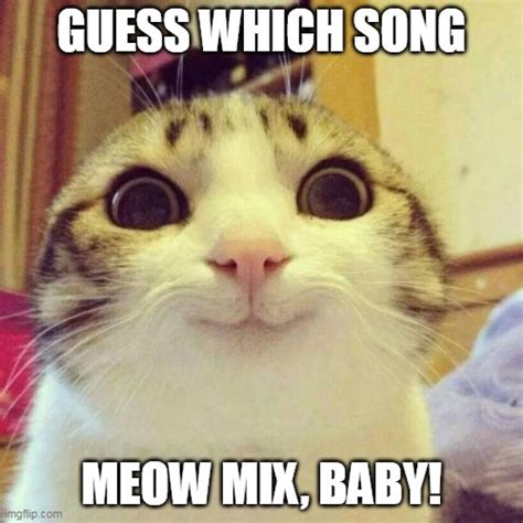 That One Cat Lover Imgflip