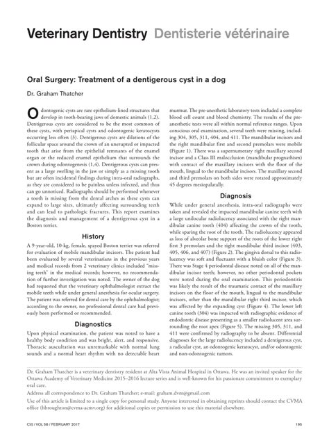 Pdf Oral Surgery Treatment Of A Dentigerous Cyst In A Dog