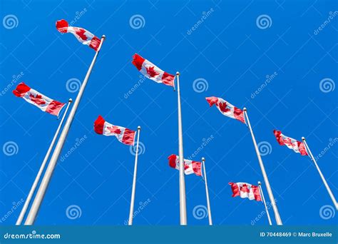 Canadian Flags Waving Over Blue Sky Stock Image Image Of Color